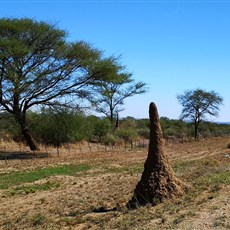 Windhoek to Okahandja