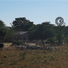 Khorab Safari Lodge to Tsumeb