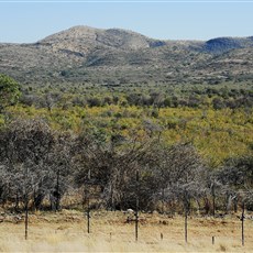 Khorab Safari Lodge to Tsumeb