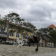 Plaza de San Francisco, Havana