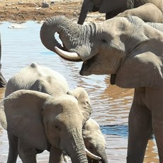 Etosha