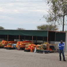 Tsumeb to Sachsenheim Guest Farm