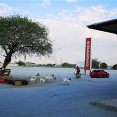 Okashana to Ondangwa