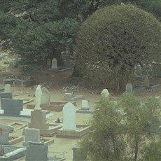 South Africa Keimoes graveyard and kokerboom
