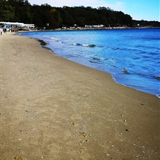 Varna
