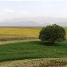 Between Kayseri and Pinarbaşi