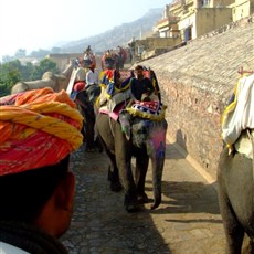 Jaipur Amber Fort