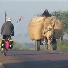 En route Bikaner