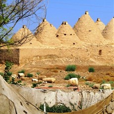 Harran