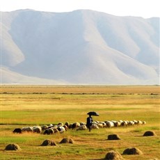 En route Doğubayazit
