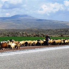 En route Doğubayazit
