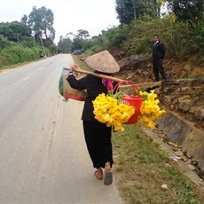 Between Muong Kim and Ban Po