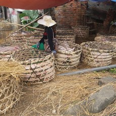Between Hoi An and Dung Quat