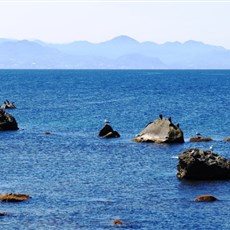Between Perşembe and Fatsa