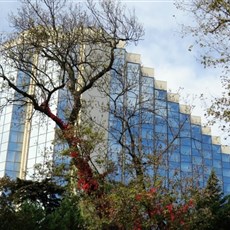 Beşkitaş