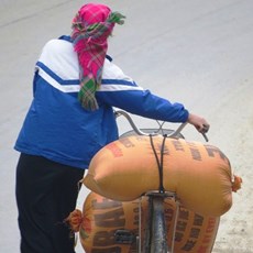 Between Muong Kim and Ban Po