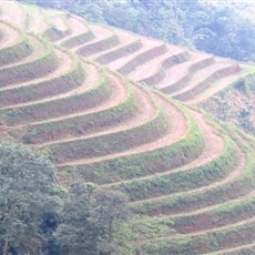 Between Sapa and Pho Rang