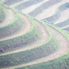 Between Sapa and Pho Rang