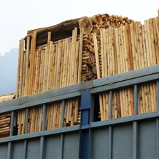 Between Pho Rang and Viet Quang