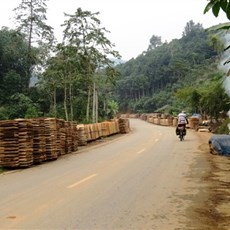 Between Pho Rang and Viet Quang