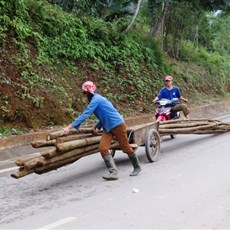 Between Pho Rang and Viet Quang