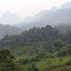 Between Pho Rang and Viet Quang