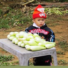 Between Viet Quang and Na Hang