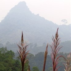 Between Viet Quang and Na Hang