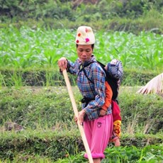 Between Viet Quang and Na Hang
