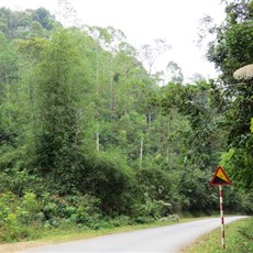 Between Yen Lac and Binh Gia