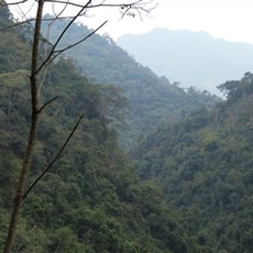 Between Yen Lac and Binh Gia