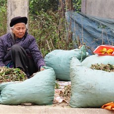 Between Yen Lac and Binh Gia
