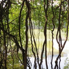 Ngoc Son temple on Hoan Kiem lake