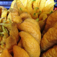 Citron (Buddha's Hand)