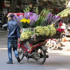 Hanoi Old Quarter