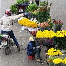 Hanoi  