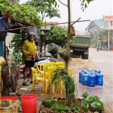 Using any available space to grow veg