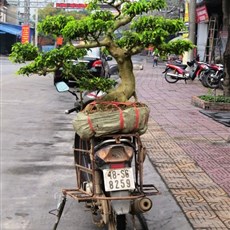 Between Tien Yen and Cam Pha