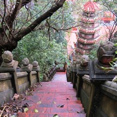Cao Son Lu'u Thuy temple