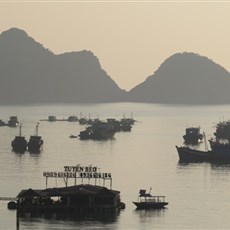 Cat Ba harbour
