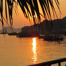 Cat Ba harbour