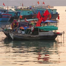 Cat Ba harbour