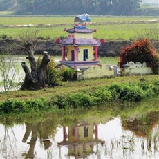 Between Phat Diem and Thanh Hoa