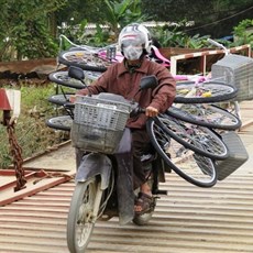 Between Phat Diem and Thanh Hoa