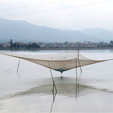 Between Vio and Dong Hoi