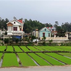 Between Vio and Dong Hoi