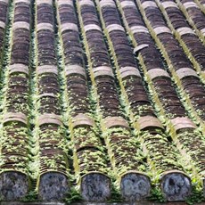 Duc An House - Hoi An