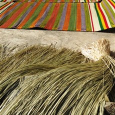 Between Quang Ngai to Hoai Nhon