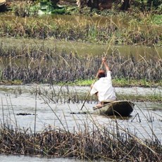 Between Hoai Nhon and Binh Dinh