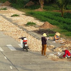 Between Song Cau and Dai Lanh